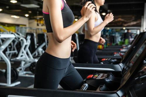 健身最新爆料文案短句,爆款短句背后的健身秘籍 第3张 健身最新爆料文案短句,爆款短句背后的健身秘籍 第3张